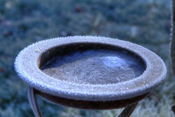 Mangeoire gel&eacute;