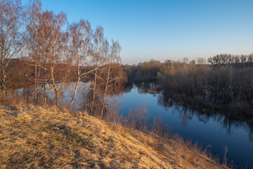 river in the forest