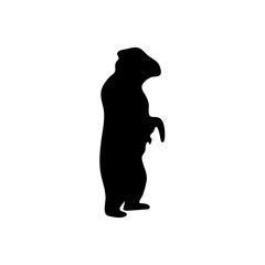 hand drawn bear silhouette