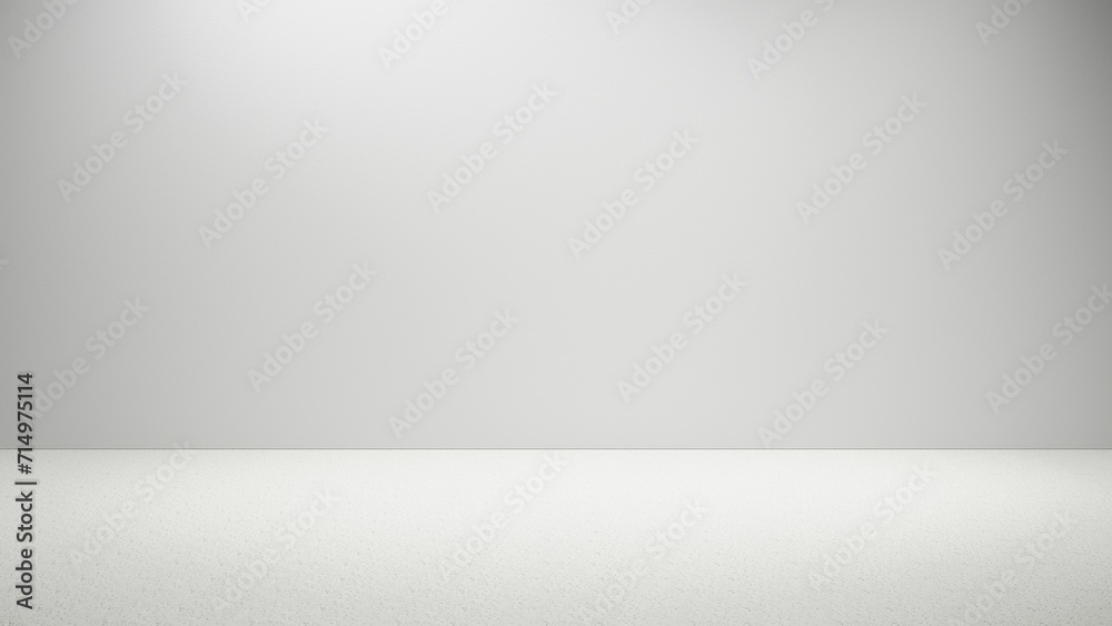 Leinwandbilder abstract white and gray gradient empty blank studio room with spotlight, empty bright background, bl