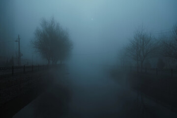 foggy landscape with a river and trees on an alley in the city on an autumn evening in the fog mist