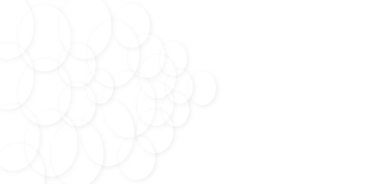 White and grey abstract modern transparency circle presentation background. Modern and geometric design with paper circle design silver background web design. Round shape.