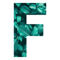 letter of F fill with green flower, F letter with green flower