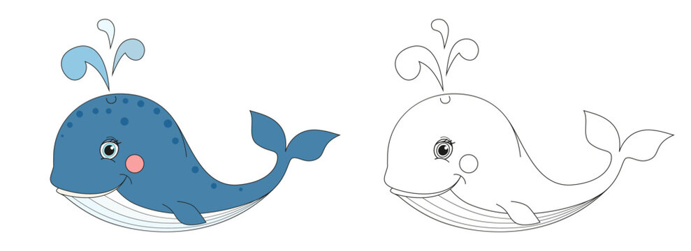 Whale line and color illustration. Cartoon vector illustration for coloring book.