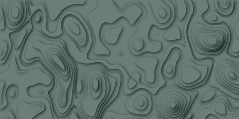 The stylized gradient color abstract topographic map with lines and circles background. Per texture design and geometric shape with vector design multicolored gray topography.