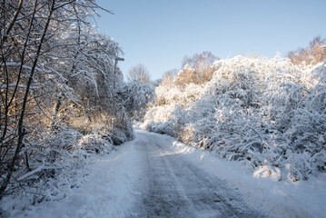 Swedish harsh beautiful winter concept: sunny view after snowfall. Pathway through park during...