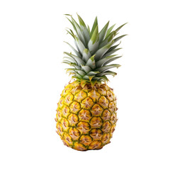 Fototapeta premium Pineapple tropical fruit. 