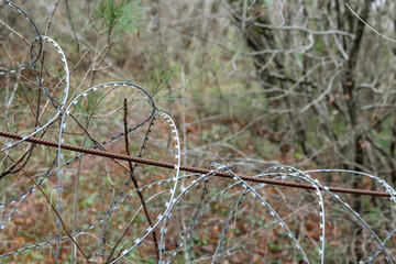 Old barbed wire fence in the forest