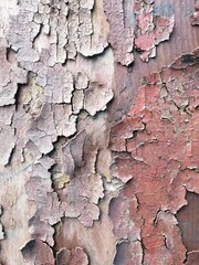 The surface of the old metal wall is covered with layers of rust. The layers come off in chunks, many cracks are visible.