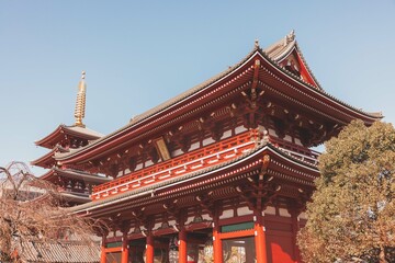 Temple in Asakusa