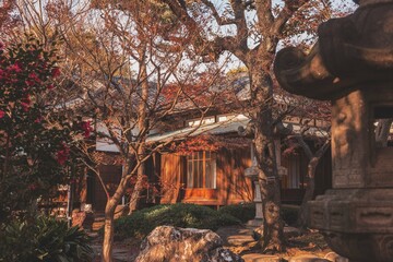 Wooden Japanese home
