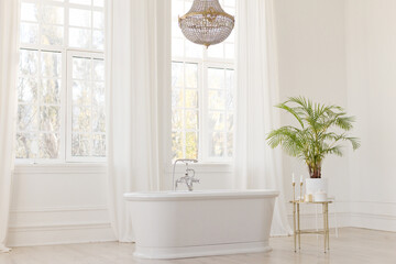 Light bathroom interior with baththub