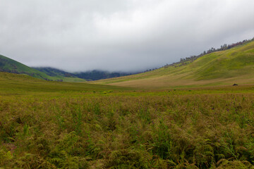 Obraz premium Landscape of green hills in the mountains on a cloudy day. Location of Mount Bromo in Bromo Tengger Semeru National Park, East Java, Indonesia