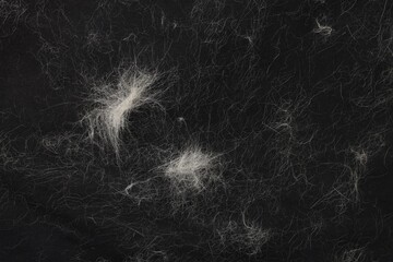 Pet hair on black fabric, top view