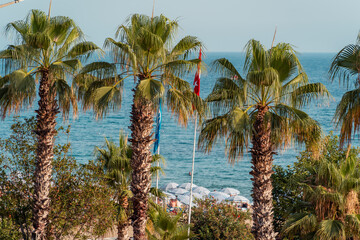 Tureckie palmy, Plaża Kleopatry,