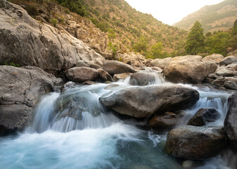 Rivière dans les gorges de l'Asco en Corse