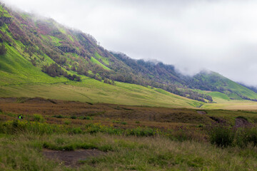 Fototapeta premium Landscape of green hills in the mountains on a cloudy day. Location of Mount Bromo in Bromo Tengger Semeru National Park, East Java, Indonesia