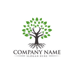 tree logo with tree illustration 5