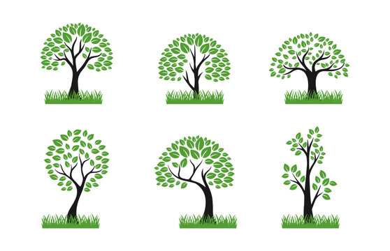 set of best tree logo collections, template