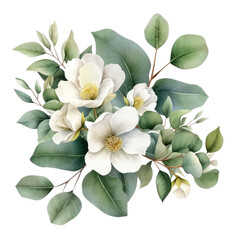 Isolated watercolor white flowers and green eucalyptus leaves on a transparent background, png