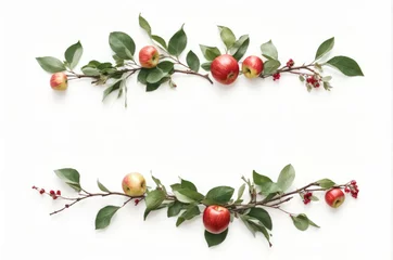 Fotobehang red apple banner with branches leaves isolated on white background © Nisit
