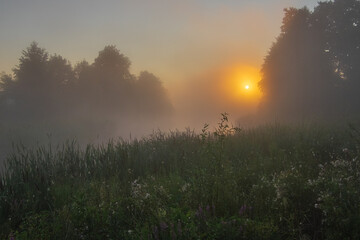 morning mist over the field