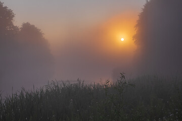 Obraz premium sunrise in the fog