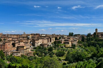 Fototapeta na wymiar Vue panoramique sur la ville de Sienne