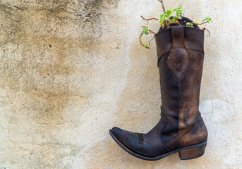 Old boots reused as a plant pot
