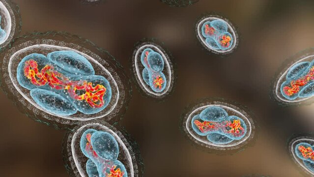 Dynamic 3D animation featuring Variola viruses, the causative agent of smallpox disease.