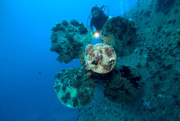 Scuba divers explores propeller of sunken shipwreck. Red sea, Egypt