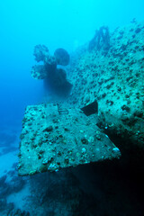  Big Shipwreck. Red sea, Egypt.
