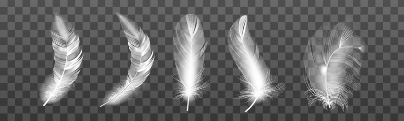 Set of realistic vector goose or swan feathers of various shapes. Ecological feather filler for pillows, blankets or jackets.Vector concept design,line art.