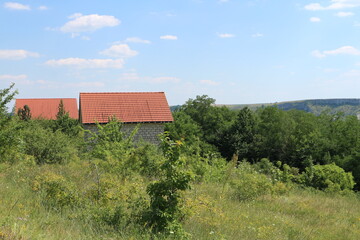 The roofs of the houses can be seen between the trees. Two houses in a forest area.