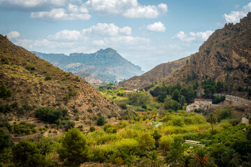 View of part of the Ricote Valley from the Ojos reservoir, with its orchard and palm trees, Region of Murcia, Spain