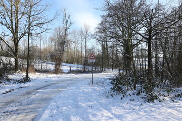 Road in the winter forest with a warning sign on the road.