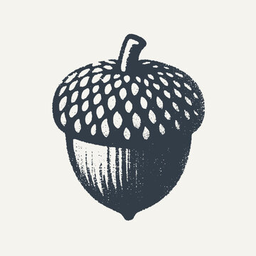 Oak Acorn. Vintage block print style grunge effect vector illustration. Black and white.