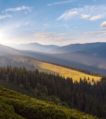 Fototapeta premium Summer Carpathian mountain, Ukraine
