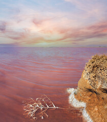 Pink salty Syvash Lake, Ukraine - obrazy, fototapety, plakaty