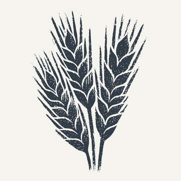 Bundle of wheat ears. Vintage block print style grunge effect vector illustration. Black and white.