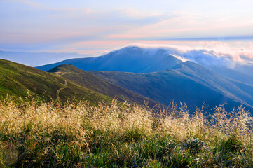 Obraz premium The cloud of morning fog above the top of the mountain. Summer mountain landscape. Carpathians, Ukraine, a mountain range Borzhava.