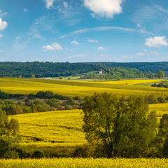 Spring countryside view with rapeseed yellow blooming fields, groves, hills. Ukraine, Lviv Region.
