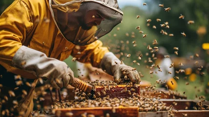 Fotobehang A beekeeper harvesting honey from beehives, emphasizing the hands-on aspect of beekeeping. [Beekeeper harvesting honey © Julia