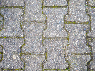 Background from old tiles. Pavement made of concrete slabs. Moss between the stones.