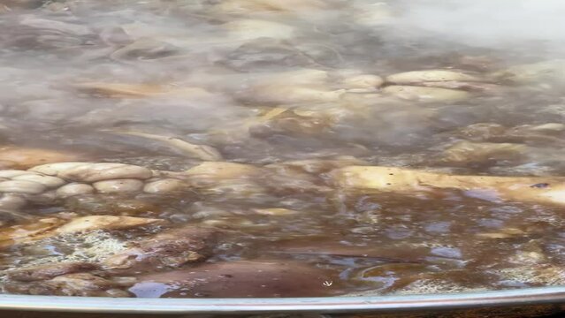 Chicharrones de cerdo, comida tipica mexicana en tonaya jalisco, mexico