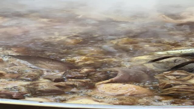 Chicharrones de cerdo, comida tipica mexicana en tonaya jalisco, mexico