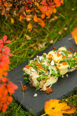 Fototapeta na wymiar salad with arugula, red caviar and potato