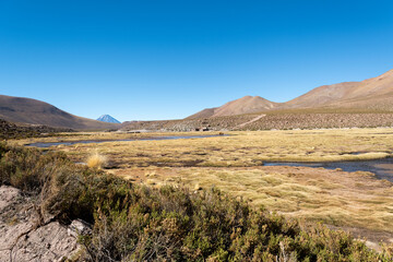Laguna Machuca, desierto de Atacama, Chile