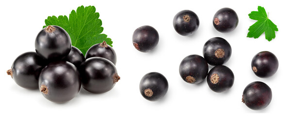 black currant with green leaves isolated on white background. macro. clipping path