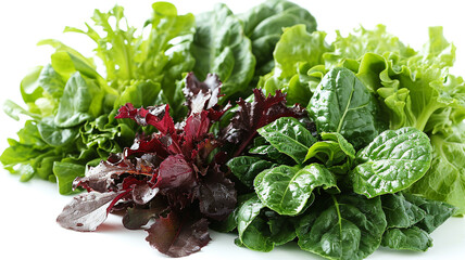 Set of lettuce leaf on white background
